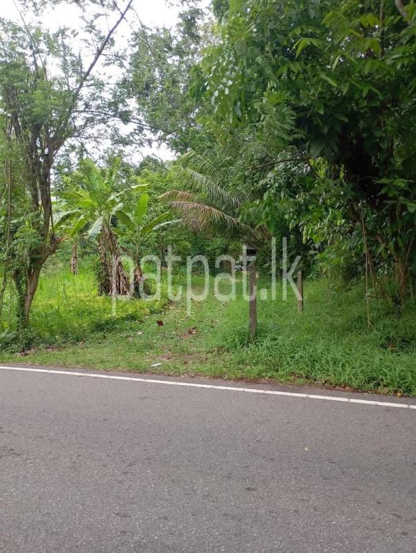 House for Sale in Veyangoda