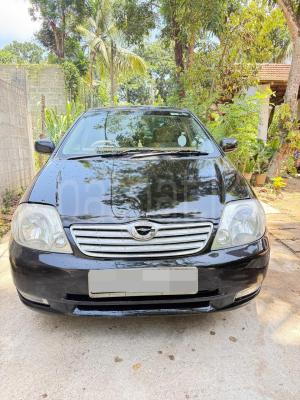 premium-listing-image