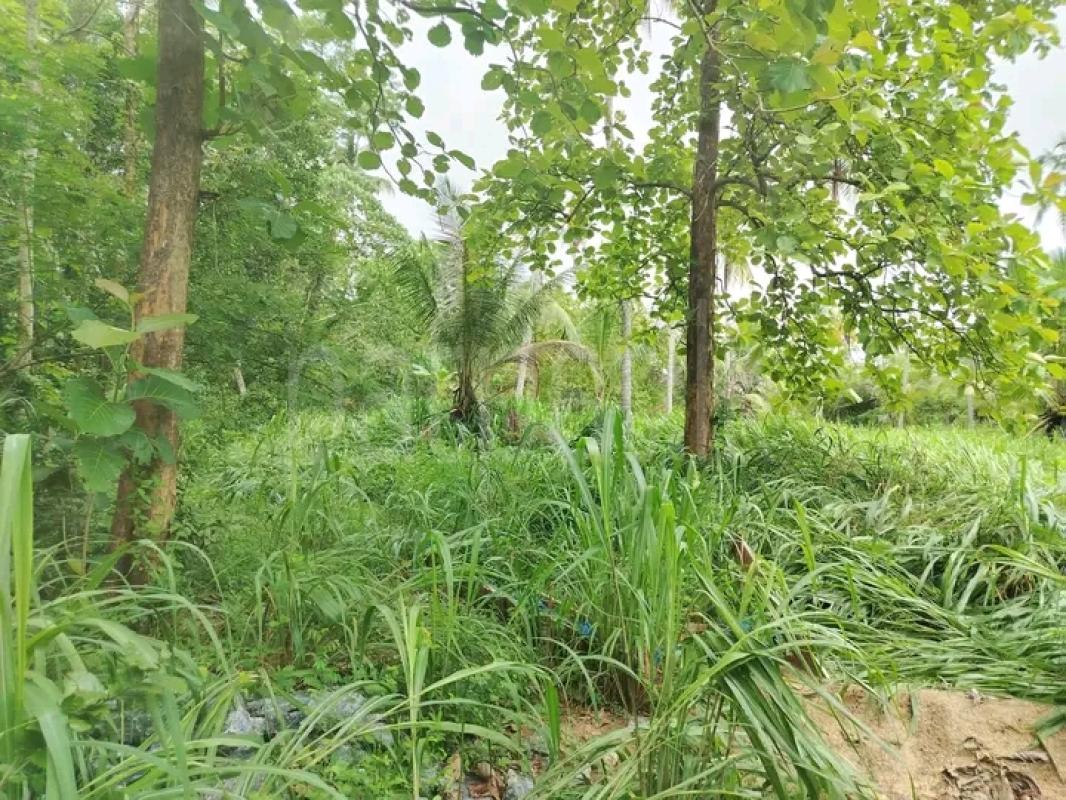 Residential Land for Sale in Giriulla
