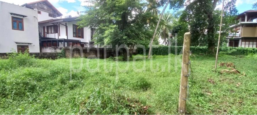 premium-listing-image