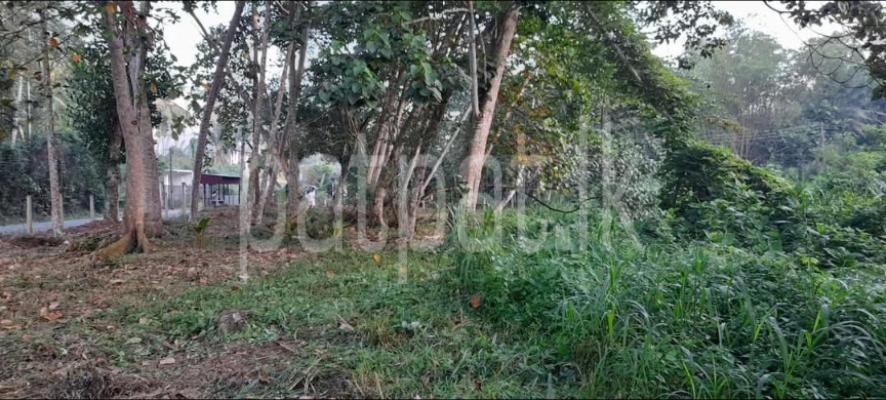 premium-listing-image