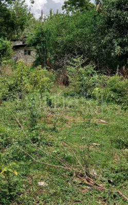 premium-listing-image