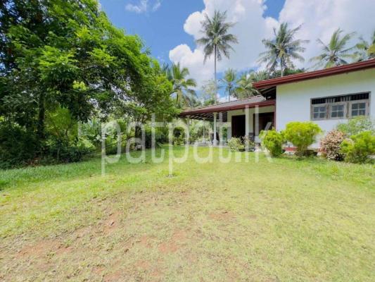 premium-listing-image