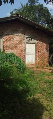 Residential Land for Sale in Dambulla