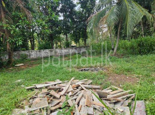 premium-listing-image