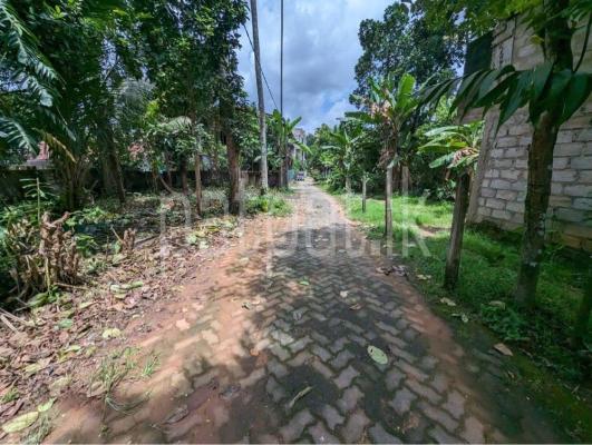 premium-listing-image