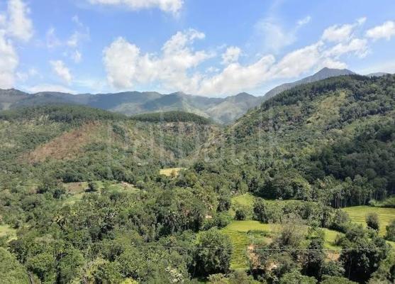 Agricultural Land for Sale in Haputale