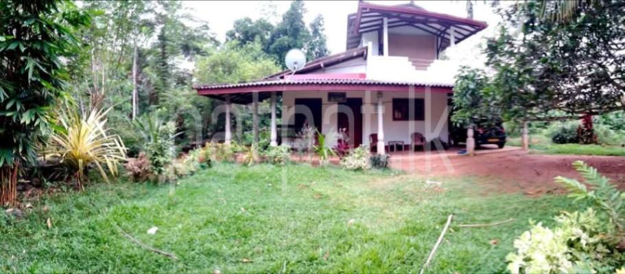 premium-listing-image