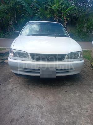 premium-listing-image