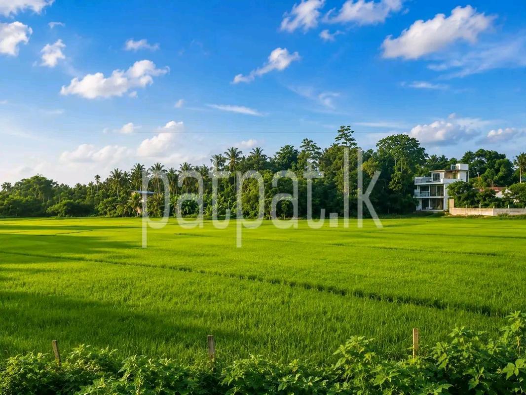 Agricultural Land for Sale in Maho