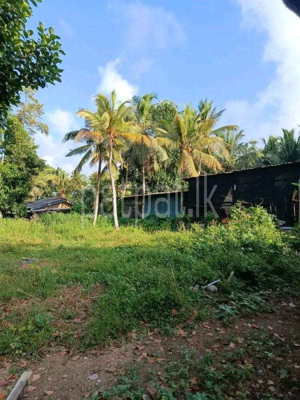 Residential Land for Sale in Kelaniya