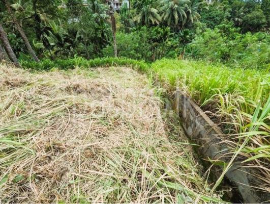 premium-listing-image