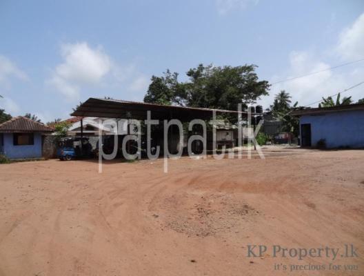 premium-listing-image