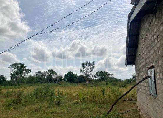 premium-listing-image