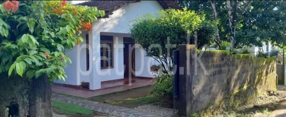 premium-listing-image