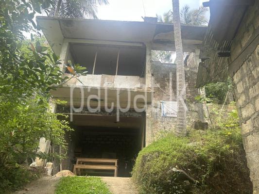 premium-listing-image