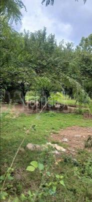 premium-listing-image