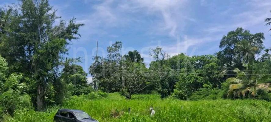 Residential Land for Sale in Kurunegala