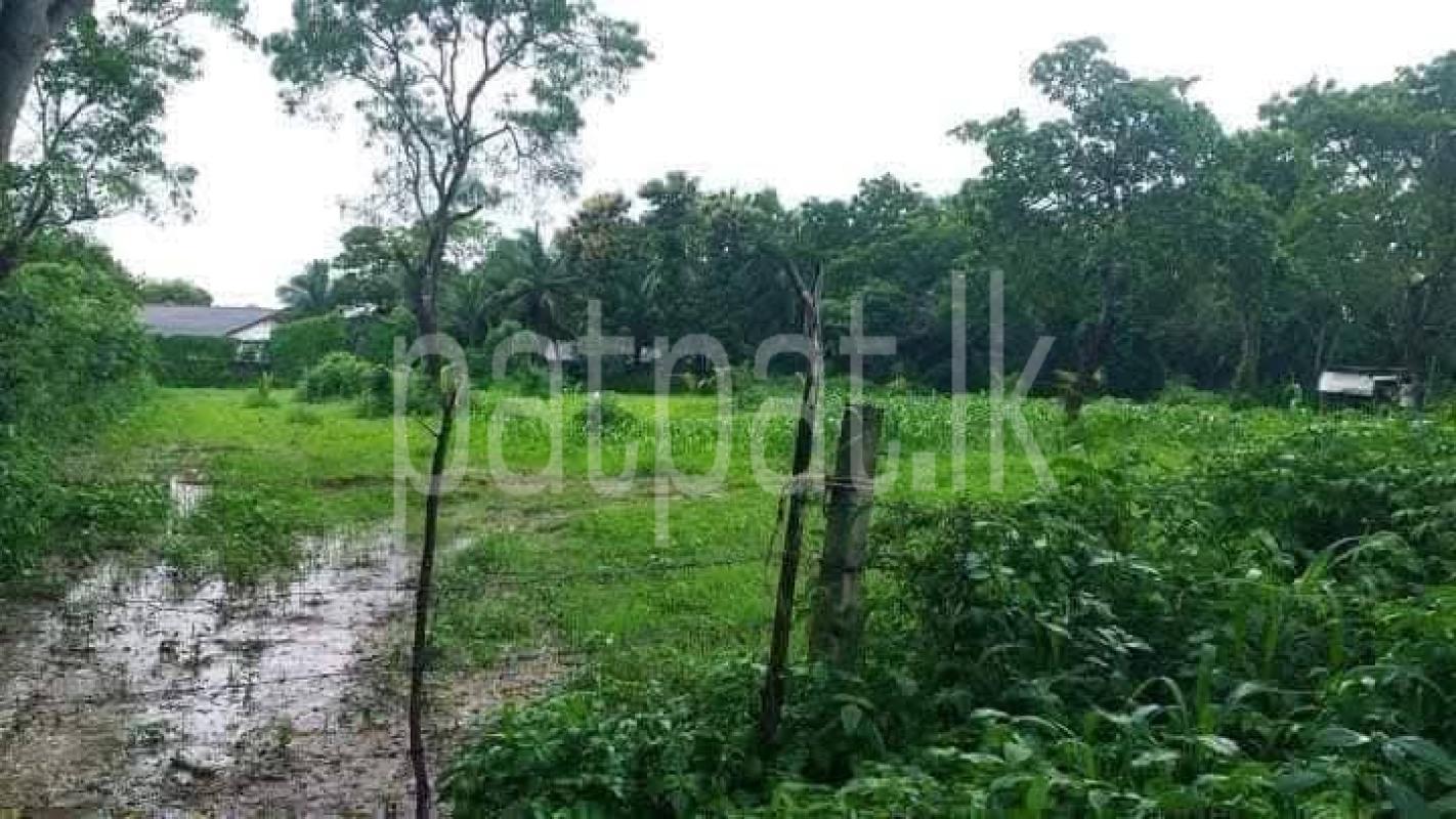 Residential Land for Sale in Kataragama