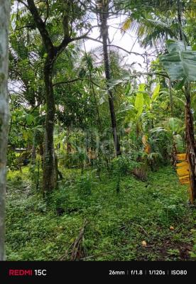Residential Land for Sale in Yakkala