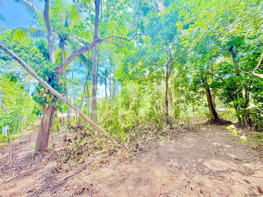 premium-listing-image