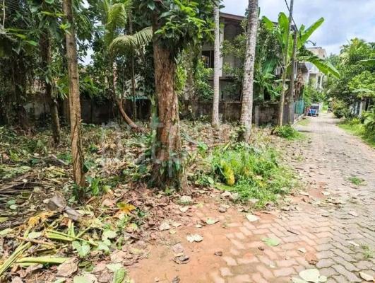 premium-listing-image