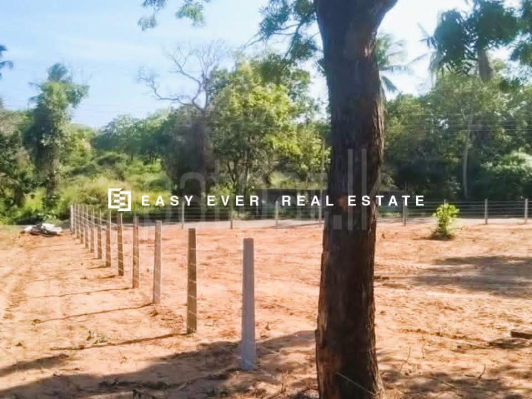 Residential Land for Sale in Tangalla