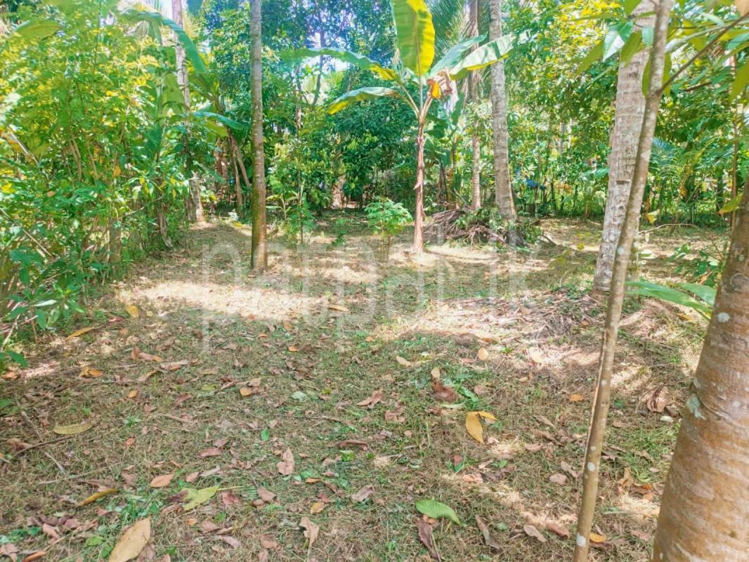 Residential Land for Sale in Weliveriya