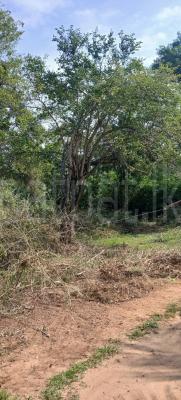 Residential Land for Sale in Kataragama