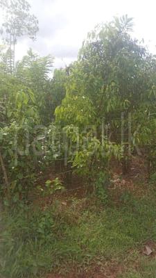 premium-listing-image