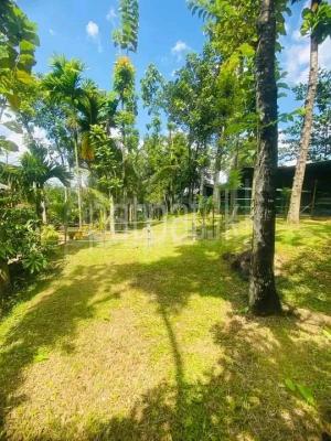 premium-listing-image