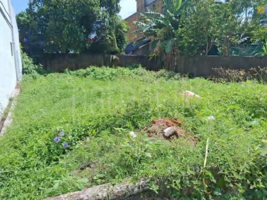 Agricultural Land for Sale in Panadura