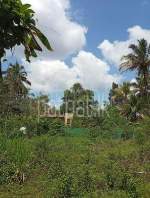 Residential Land for Sale in Gampaha