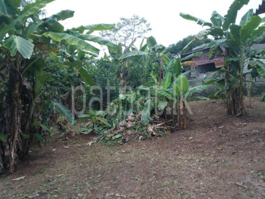 Residential Land for Sale in Dehiwala