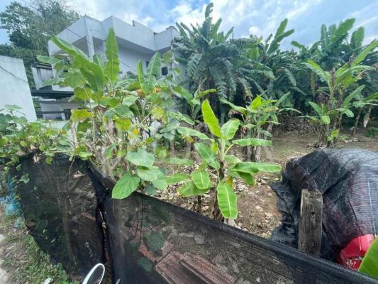 premium-listing-image