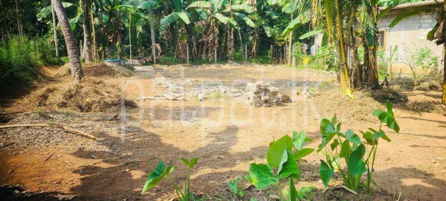 premium-listing-image