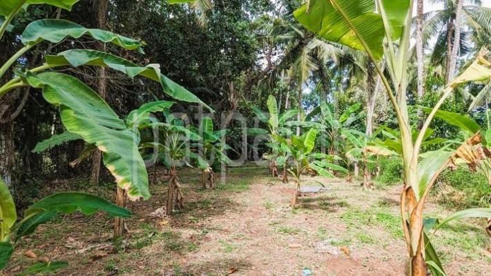 premium-listing-image