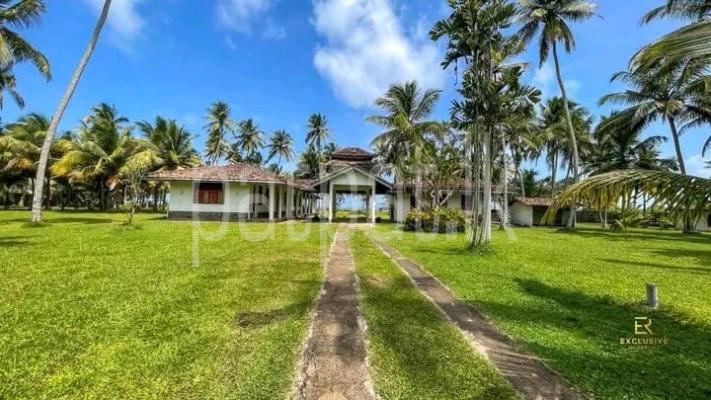 premium-listing-image