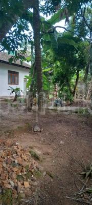 premium-listing-image