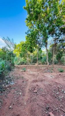 premium-listing-image