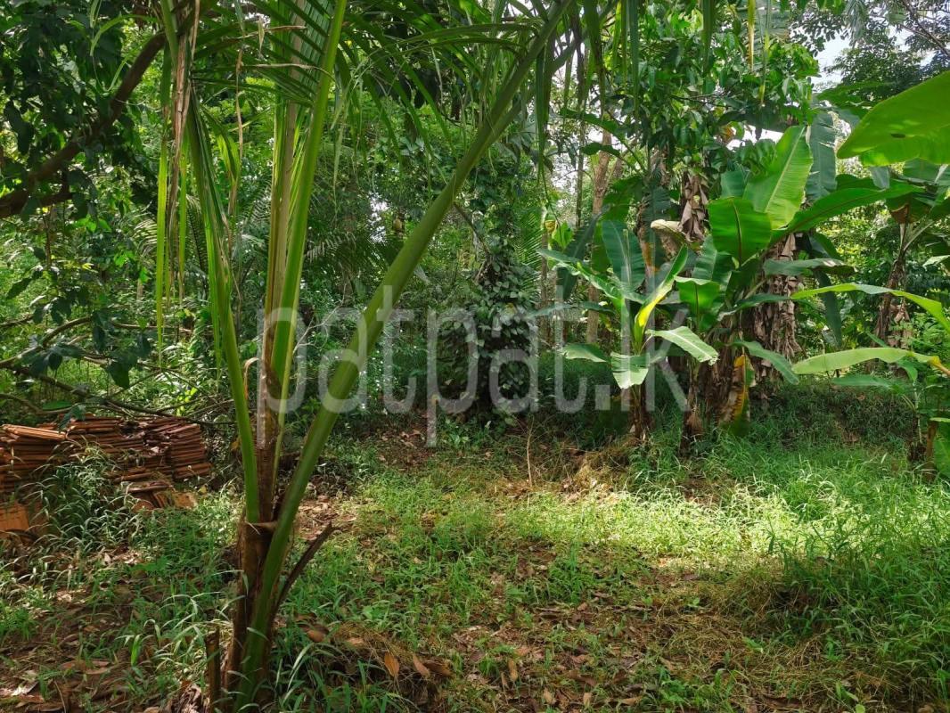Residential Land for Sale in Mirigama