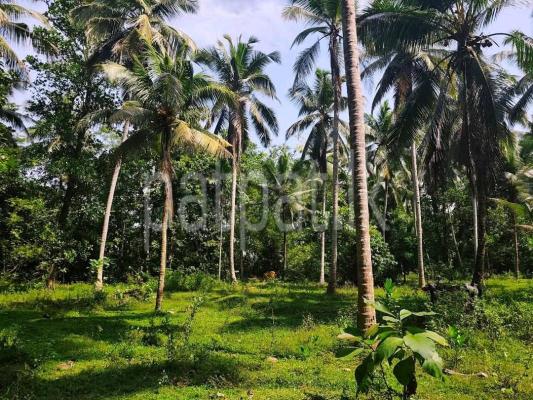 Agricultural Land for Sale in Polgahawela