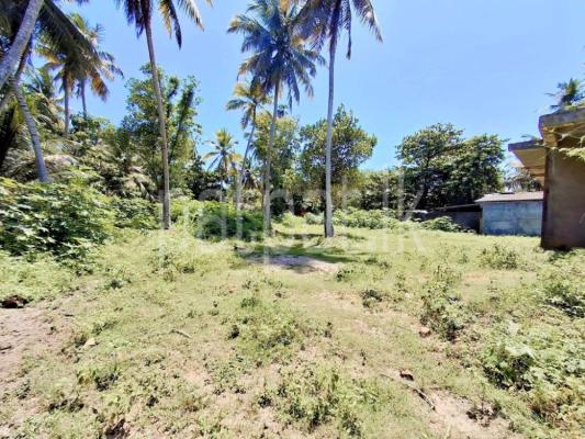 premium-listing-image