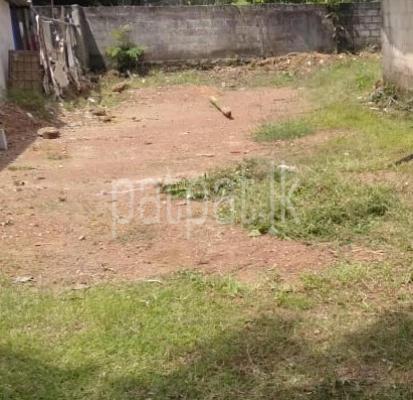 premium-listing-image