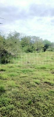 premium-listing-image