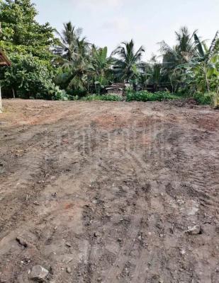 premium-listing-image