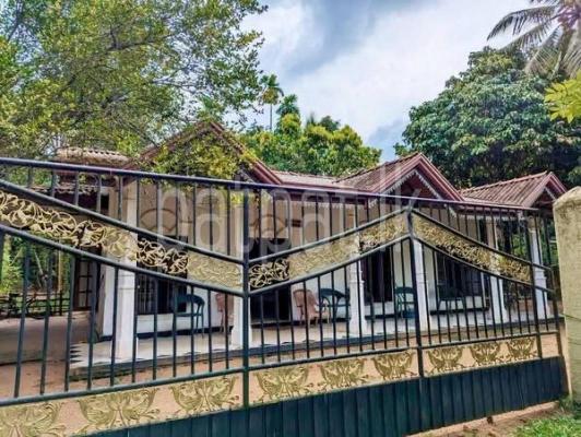 premium-listing-image