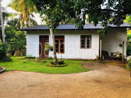 premium-listing-image