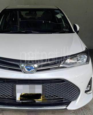 premium-listing-image