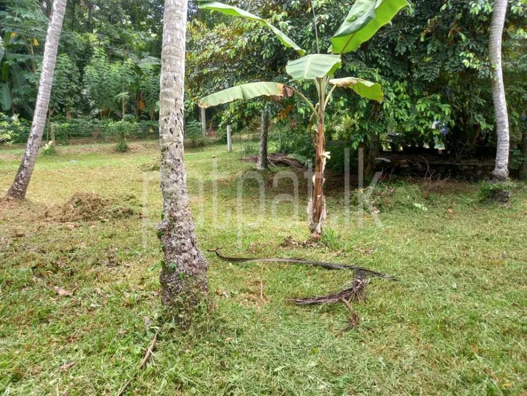 Agricultural Land for Sale in Gampola